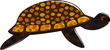 sea turtle