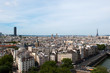 View of Paris from Notre Dame. Eiffel tower. France