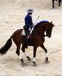 corrida a cheval corrida a cheval