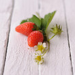 fraises du jardin fraises du jardin