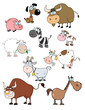 Cartoon Animals Raster Collection