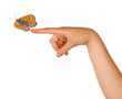 ����: Butterfly flying from hand � Dmitry #33092874