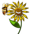 big flower