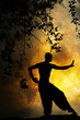Spiritual Martial Arts Sunset Spiritual Martial Arts Sunset