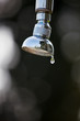 Wassertropfen einer Dusche im Freien
