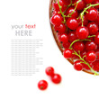 fresh currants