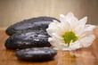 zen stones and flower
