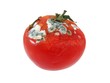 Diseased Tomato