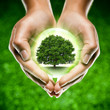 mains écologie arbre planète / green globe tree earth in hands mains écologie arbre planète / green globe tree earth in hands