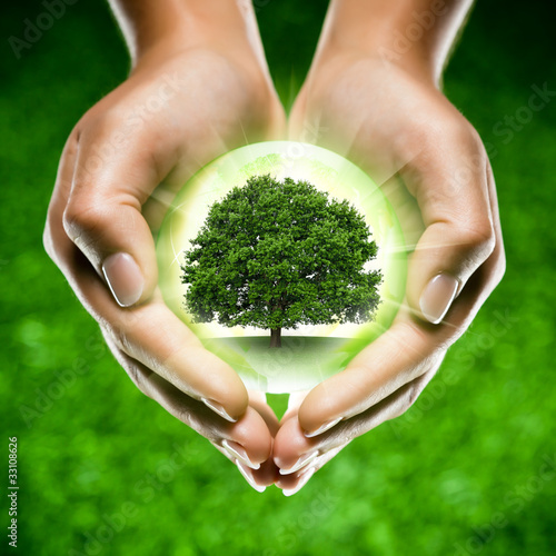 Photo: mains écologie arbre planète / green globe tree earth in hands mains écologie arbre planète / green globe tree earth in hands