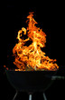feuer grill