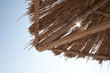 reed umbrella