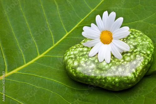 Photo: Wellness Wellness