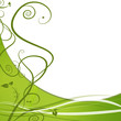 Green Leaf Nature Vine Background