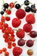 frutti di bosco,ribes,lampone,uva spina
