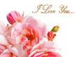 Roses isolated with love message