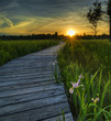 Irwin Prairie Sunset