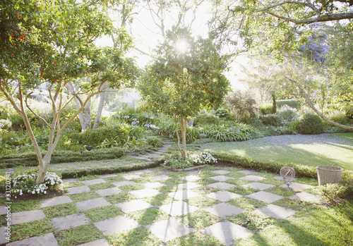 Foto: Sun shining through trees in garden Sun shining through trees in garden