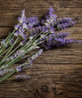 lavender flower