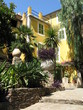 Verdure à Bormes les mimosas