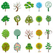 The collection of trees The collection of trees