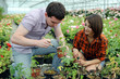 In a greenhouse