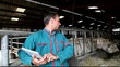 Farmer in barn using electronic tablet Farmer in barn using electronic tablet