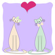 cats' love