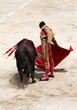 corrida