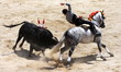 corrida corrida