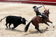 corrida