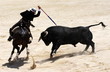 corrida corrida