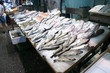 Fresh Fish On Ice Fresh Fish On Ice