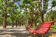 relax on apark bench