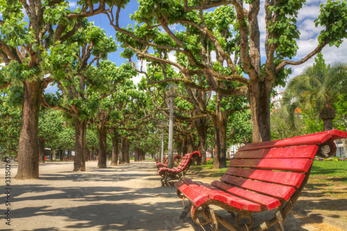 Photo: relax on apark bench relax on apark bench