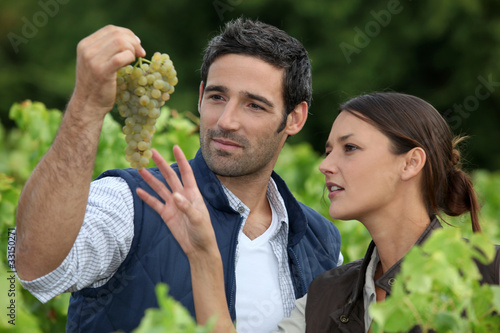 Photo: couple of wine growers couple of wine growers