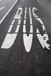 ����: Bus lane � ronvanelst #33155483