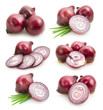 set of onions images