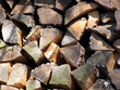 firewood