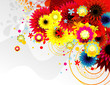 flower vector illustration flower vector illustration