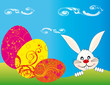 Eastern Rabbit searching eggs Eastern Rabbit searching eggs