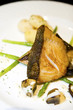 Food - Fish fillet