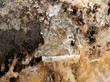 Grungy wall.