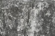 mottled wall mottled wall