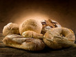 variety of bread