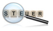 Steuerprüfung