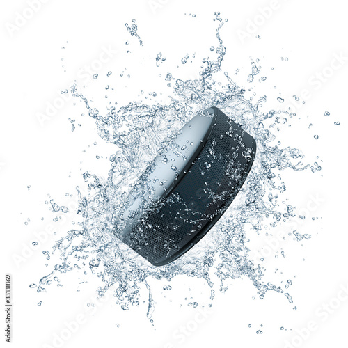 Illustration: Hockey Puck Hockey Puck