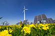 Windrad und Solarzellen