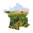 L'agriculture Française L'agriculture Française