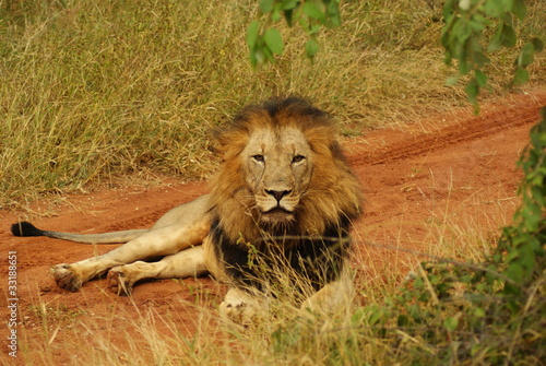 Photo: LEONE LEONE